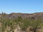 Joshua Tree & Hidden Valley (16).JPG